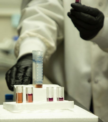 2018_FASTREEU_Shateal_002-for-research-report-1