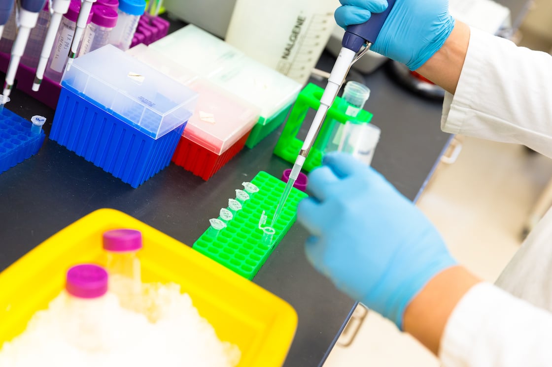 An, Wenfeng Lab 2015_60