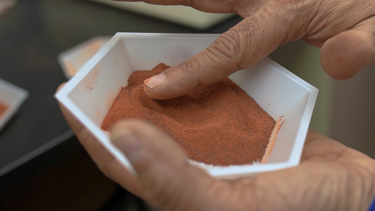 carotenoids — a class of molecules that are responsible for the naturally occurring pigments