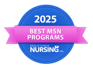 Best-MSN-Programs-2025-300x219