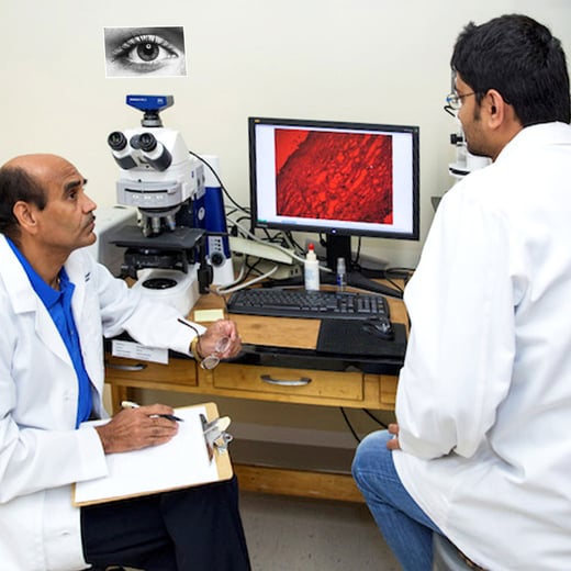 Chandrasekher, on left, in front of computer screen with tissue image, visiting with student,