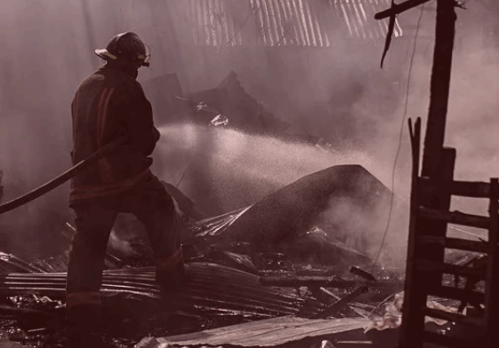 Firefighter infographic image