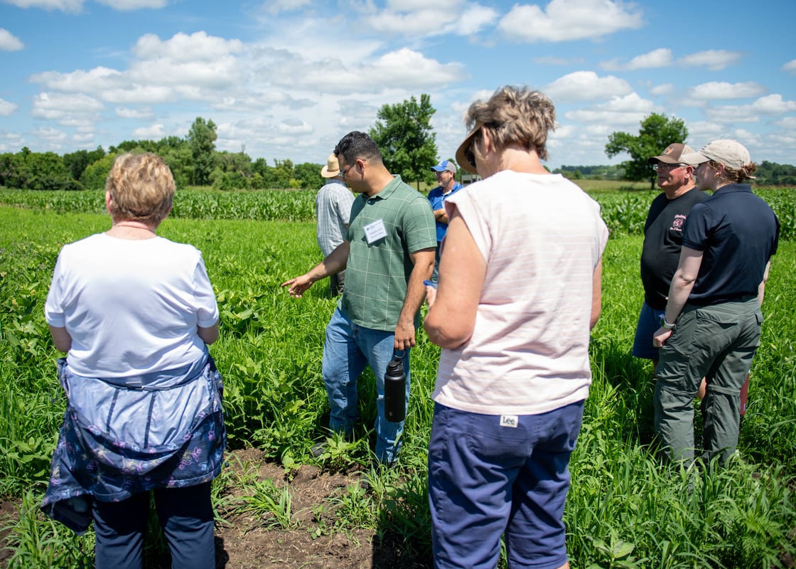 Participants gathered in a field while an instructor points out and discusses crops and vegetation during a field day event.