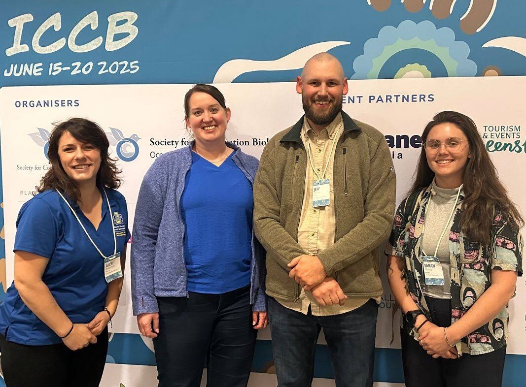 (from left) Alex Shupinski, Rachel Short, Jeff Martin, and Sarah Gheida