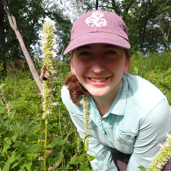 Isa Dalton is crouched in a green, outdoor natural setting, closely inspecting a tall flowering plant. A large bee is visible on the flower spike beside them. The person is wearing a light blue long-sleeve shirt and a pink cap with a floral design. Surrounding the scene are dense vegetation, grasses, and trees, suggesting a field or prairie habitat. The close-up perspective highlights both the person and the plant, emphasizing field observation and ecological study.