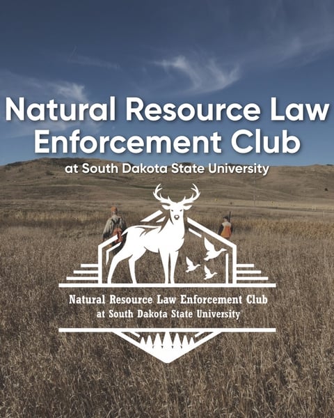 NRLE Club logo over a grassland field scene