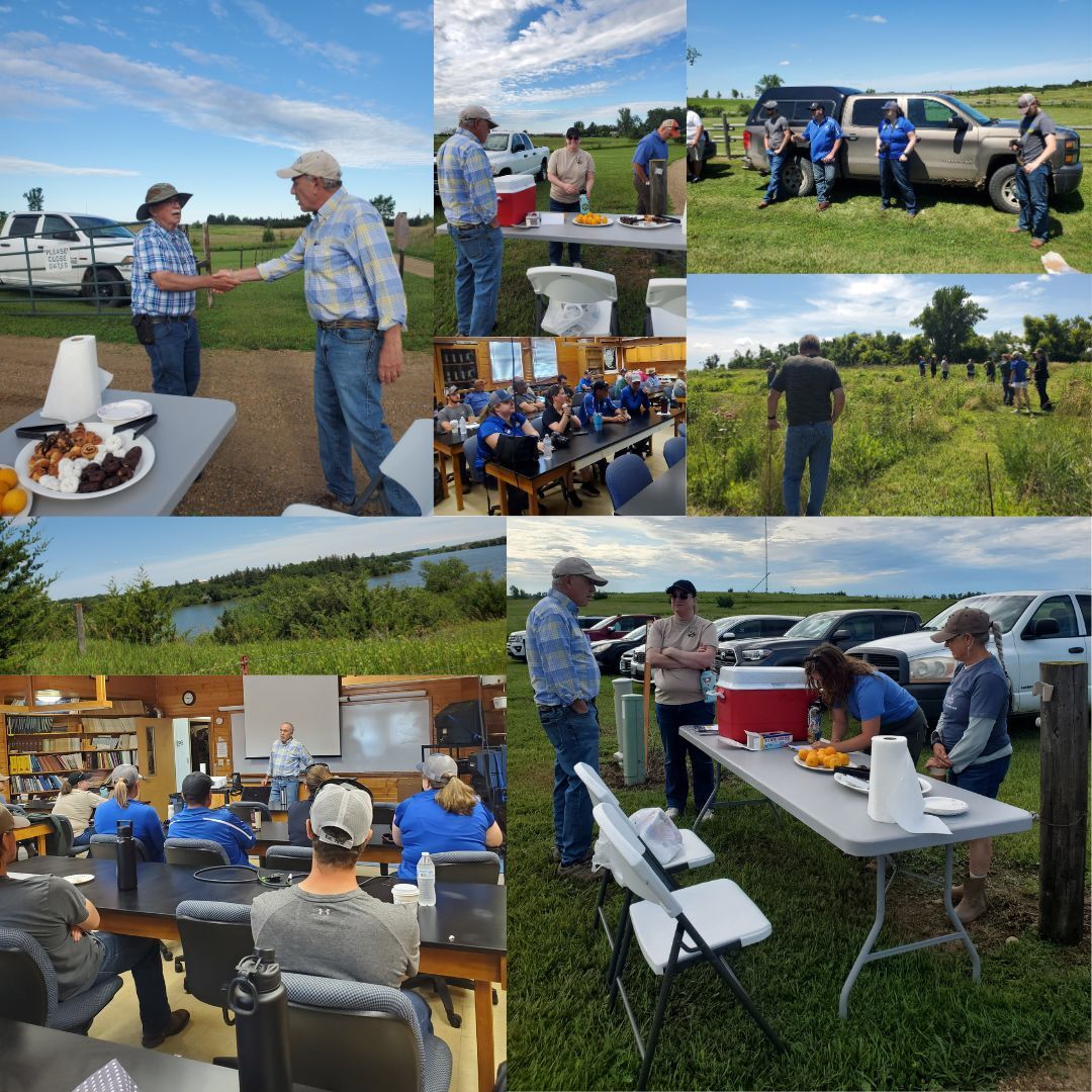 Various collaged photos for the Field Day