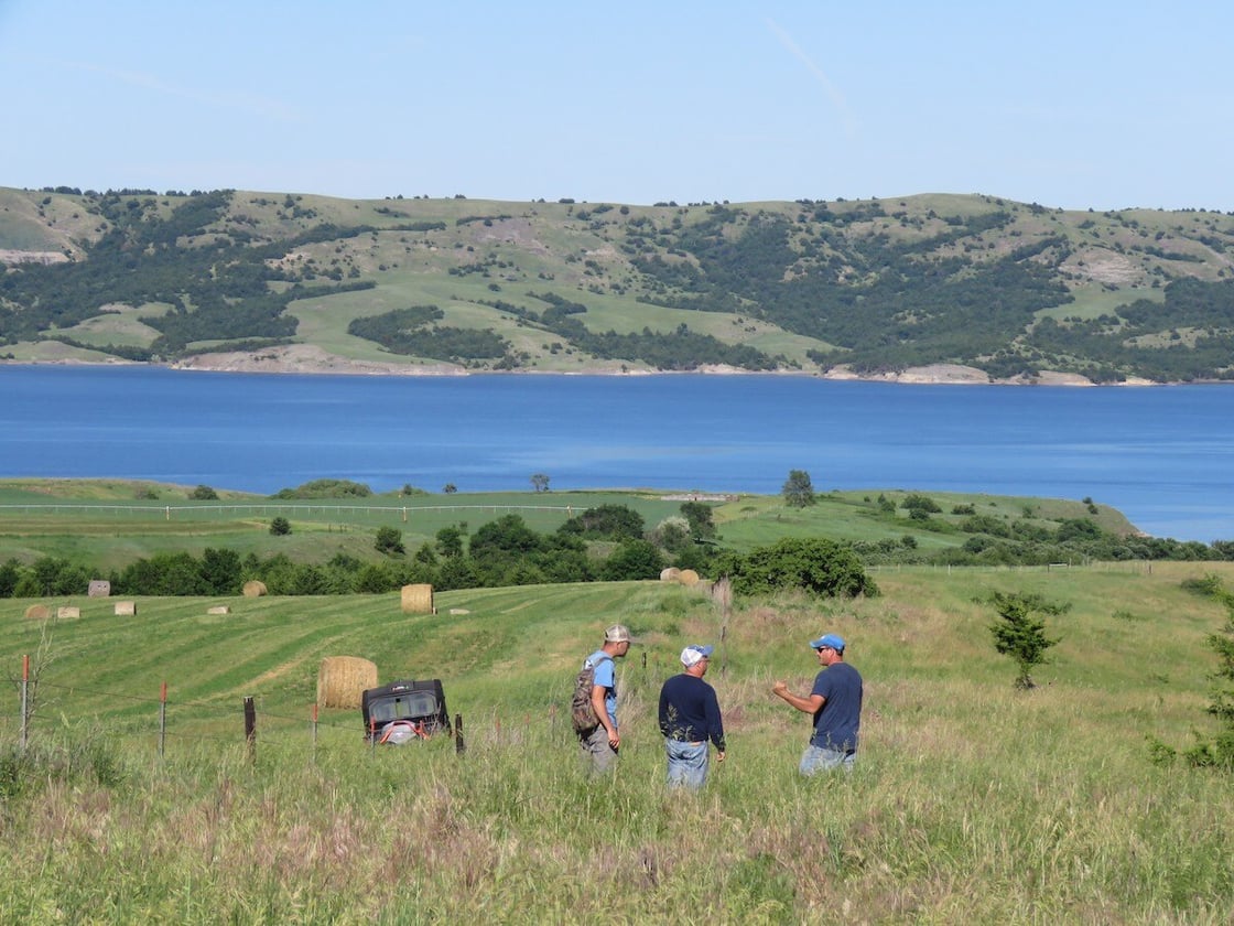Overview woody encroachment along Missouri River (1)