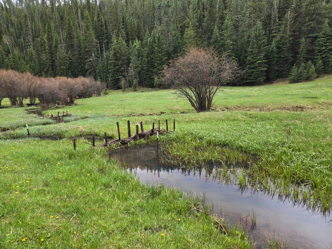 Beaver Dam Analogues