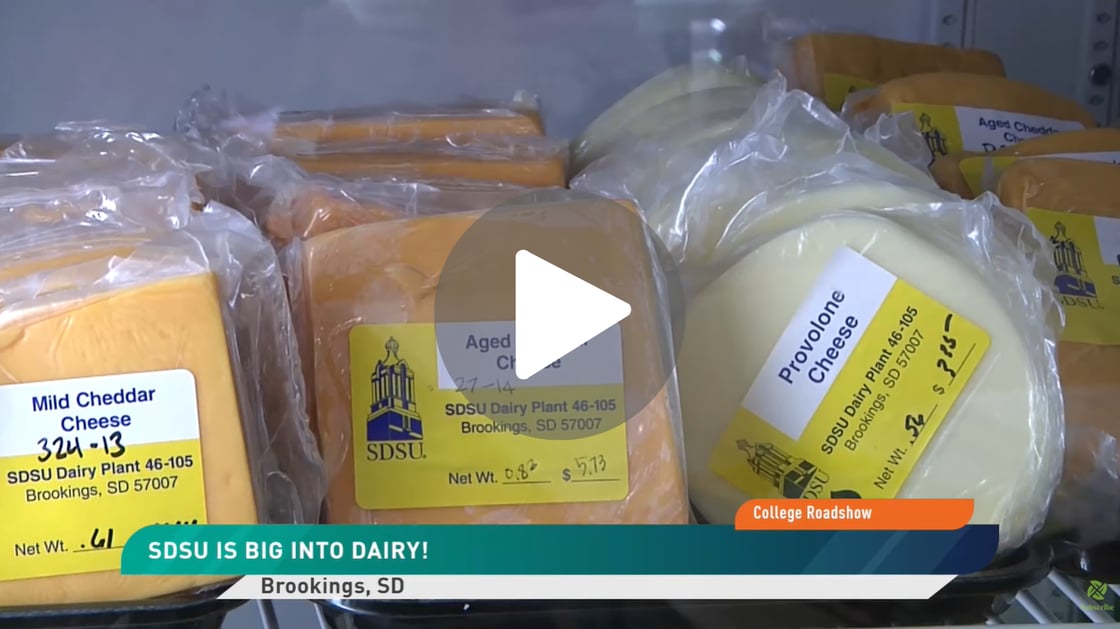 Untitled design (1)-2