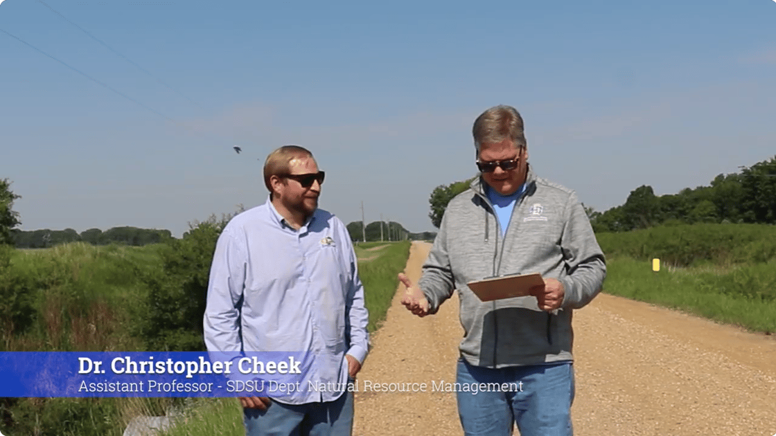 Chris Cheek and David Kringen
