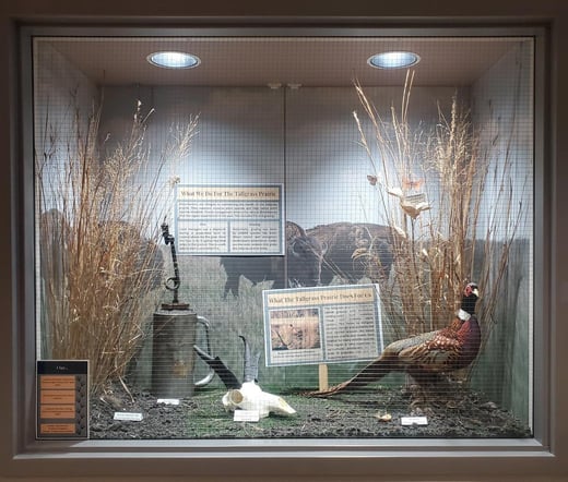 Display case 1
