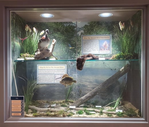 Display case 3