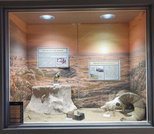 Display case 4