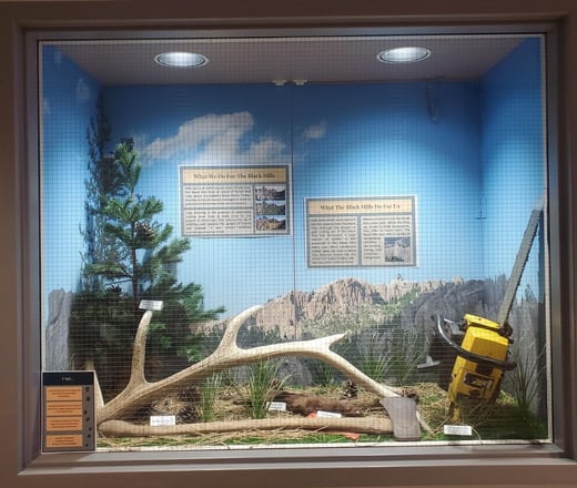 Display case 5