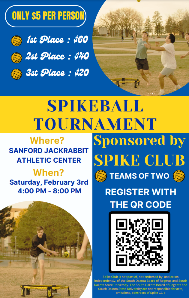 Spike ball Tournaments