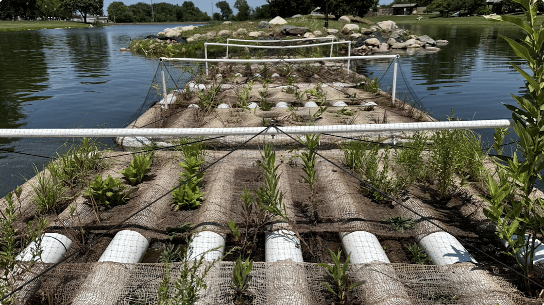 Structures to build urban habitat
